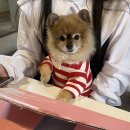 레시즌 이미지