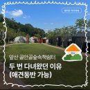 광혜원면사무소 건강관리실 | 앞산숲속책쉼터 예약 전 꼭 보기!햇살채,바람채 비교후기!