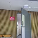 별샵별애견까페 | 카라반 캠핑장 | 솔직후기 카라반 정확한 위치동선별 총정리 청도 계곡 물놀이 애견동반 아이와 가볼만한곳