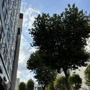 서울 온천 호캉스, 도미인 강남 호캉스 내돈내산 후기