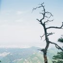 삼악산(654m)-강원도의산 2006.06 이미지