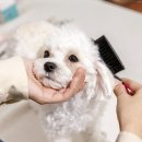 수원시 팔달구 중부대로183번길 이미지