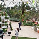 서울식물원 이미지