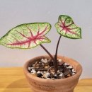 스며든몰 이미지