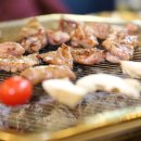 금빛화로 이미지