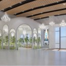 벨라마레 이미지