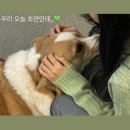 [0214] 너무 귀여운 친구들이랑