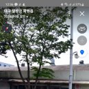 대곡스포츠