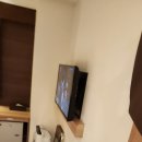 코코호텔(COCOHOTEL) | 코코호텔 삿포로 후기 cocohotel Sapporo Ekimae 삿포로에키마에 내돈내산 후기 /홋카이도 호텔
