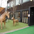 코코테로 이미지