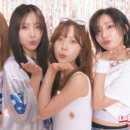 프림로즈