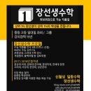 장선생수학 Daum카페