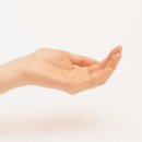 낭만포레 이미지