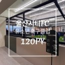 울산시티FC 유소년클럽 이미지