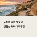 정동심곡 바다부채길, 동해의 비밀을 걷다