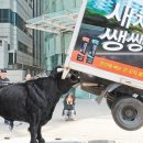 트럭스토리 이미지