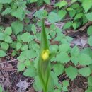 대진아파트 이미지