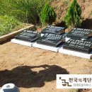 천국의계단상조 이미지