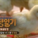 소와양 이미지