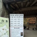 의령소바 하동점 | 경남 하동 삼성궁 단풍 맛집 단풍 구경 주차 예매 아이와 함께