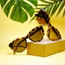 꿈의안경 이미지