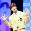 도현