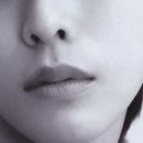 250027 이미지