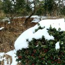 함평자연생태공원 이미지