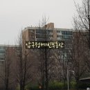 압구정-110 이미지