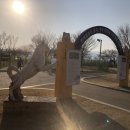 동락공원 반려동물 놀이터 이미지