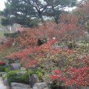 영산홍민박 이미지