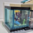 해양관 카페 이미지