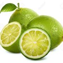 라임 이미지