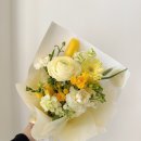 플로리즈 이미지