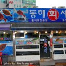동해새꼬시