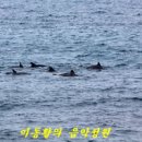 노을해안로 이미지