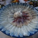 주문진항문어 이미지