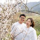 모악산의 아침 | 모악산의 아침 x 최소한의 빛 (숙박객 스냅 안내)