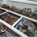 사계절 바다맛집 이미지