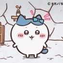 우사기 이미지