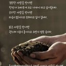 괴산군청안면운곡보건진료소 | 청주 경매2계 2024 타경 60042 [임야]