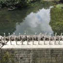 서부지방산림청(정읍국유림관리소) 이미지