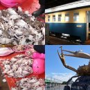 [생태탐방] 소래포구 | 소래포구 꽃게가격