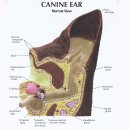 우주동물병원 이미지