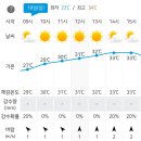 Re: [시리즈도보]8월18일(일)치악산둘레길8회차/ 9코스 자작나무길 / 공지사항 및 날씨예보 이미지