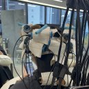 브로시스 이미지