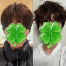 강실장펫살롱 | 성신여대 탈색모 복구펌 데생헤어 성신여대 본점 제이실장 제이쌤 후기