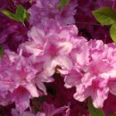 영동고등학교 이미지