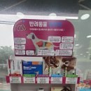 나무동물약국 이미지