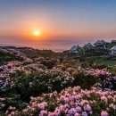 구로-구로-구로-2857 이미지